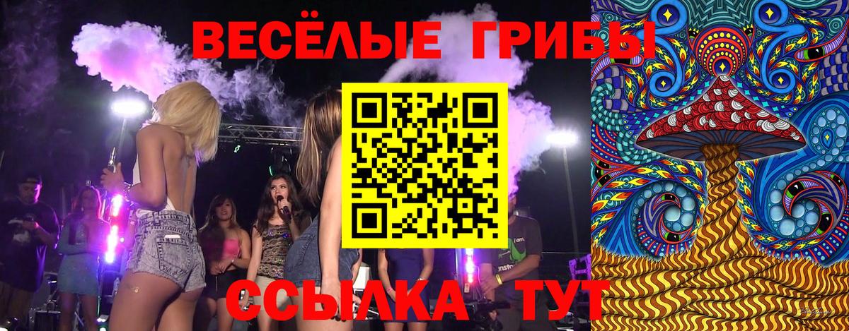 Галлюциногенные грибы Cubensis Энгельс