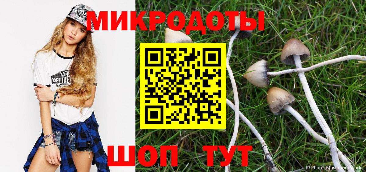 Псилоцибиновые грибы ЛСД  купить  цена  Энгельс  Вход с VPN 