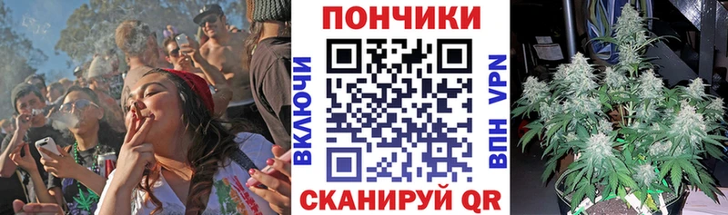 Каннабис OG Kush  Энгельс 
